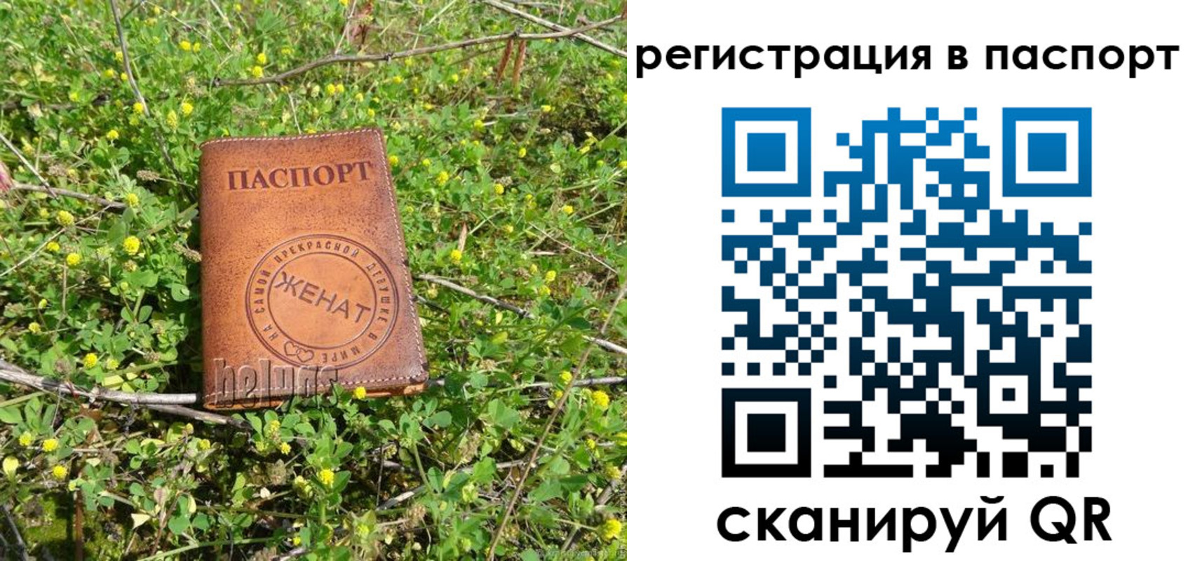 прописка законно в Янауле